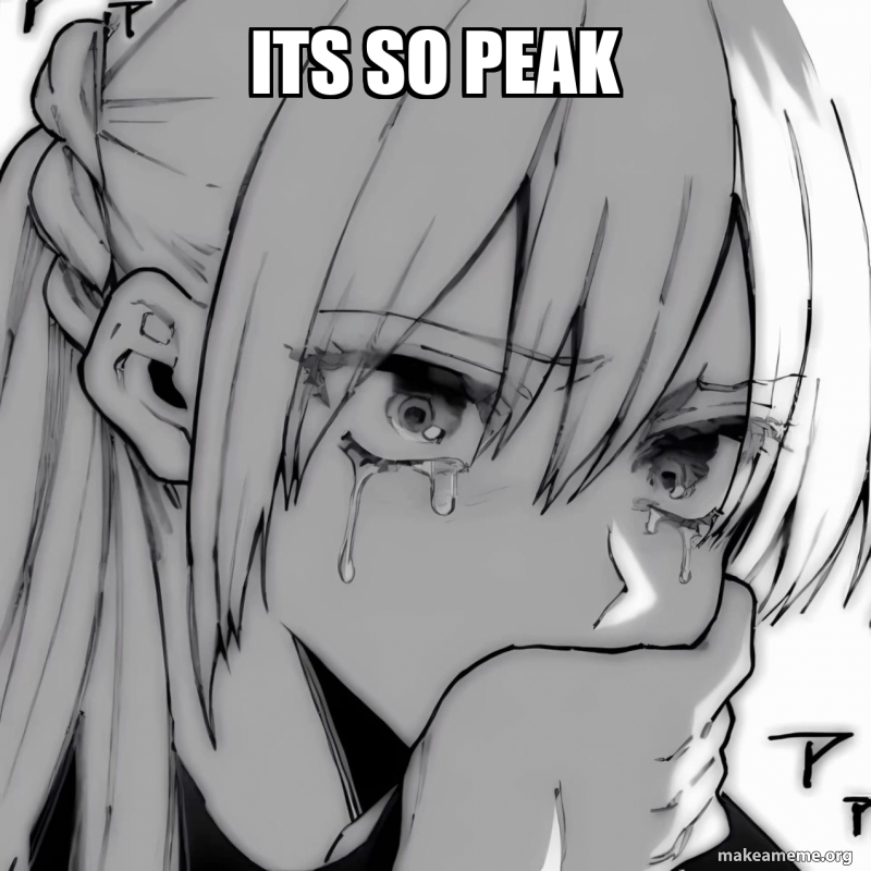 Its So Peak Meme Generator its-so-peak-meme-generator