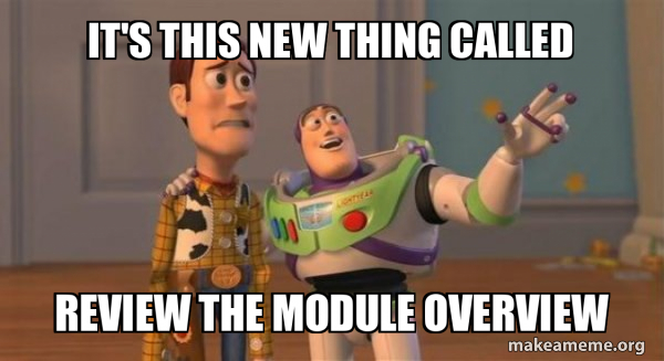 it's this new thing called REVIEW THE MODULE OVERVIEW - Buzz and Woody ...