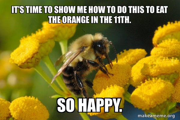 Good Guy Bee meme