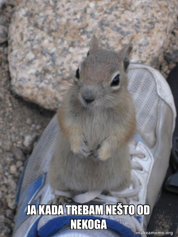 Standover Squirrel meme