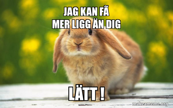 Regretful Rabbit meme
