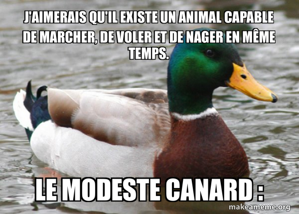 Actual Advice Mallard meme