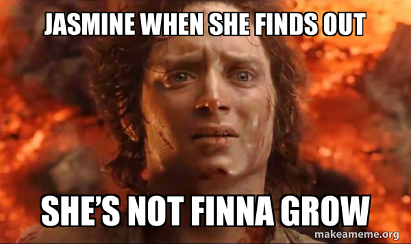 Frodo it's over it's done meme