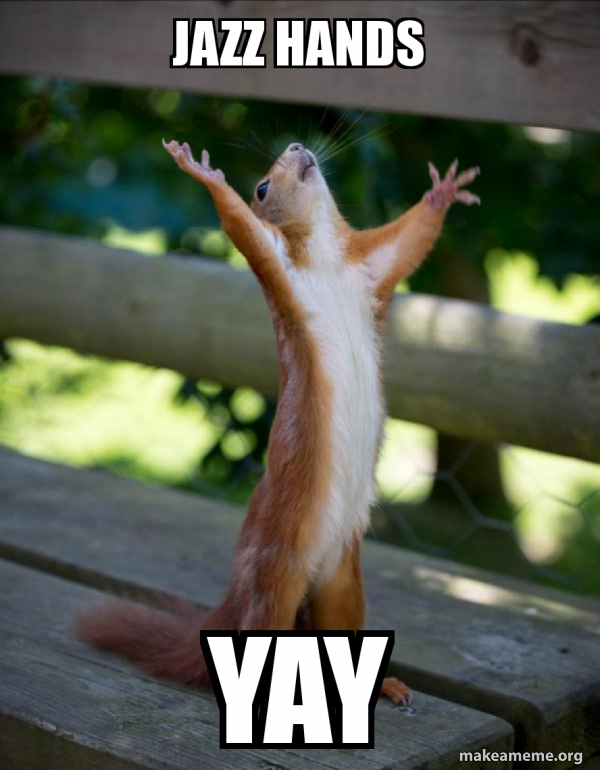 Jazz Hands YAY Happy Squirrel Make a Meme