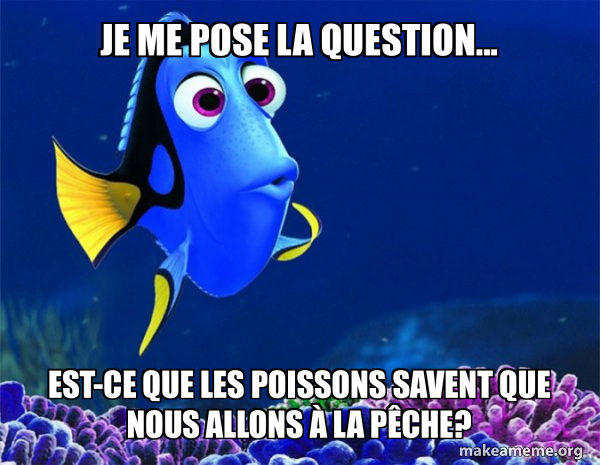 Je Me Posais La Question