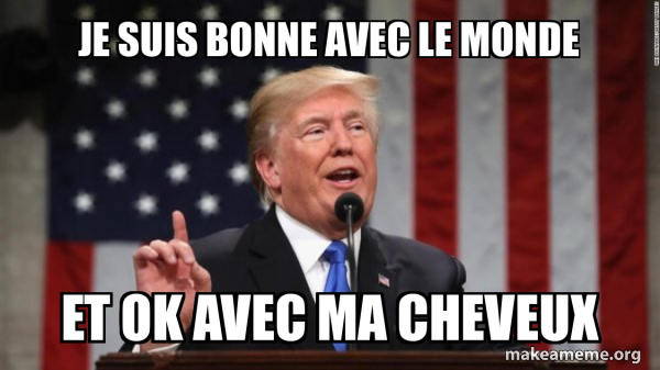 Donald Trump meme
