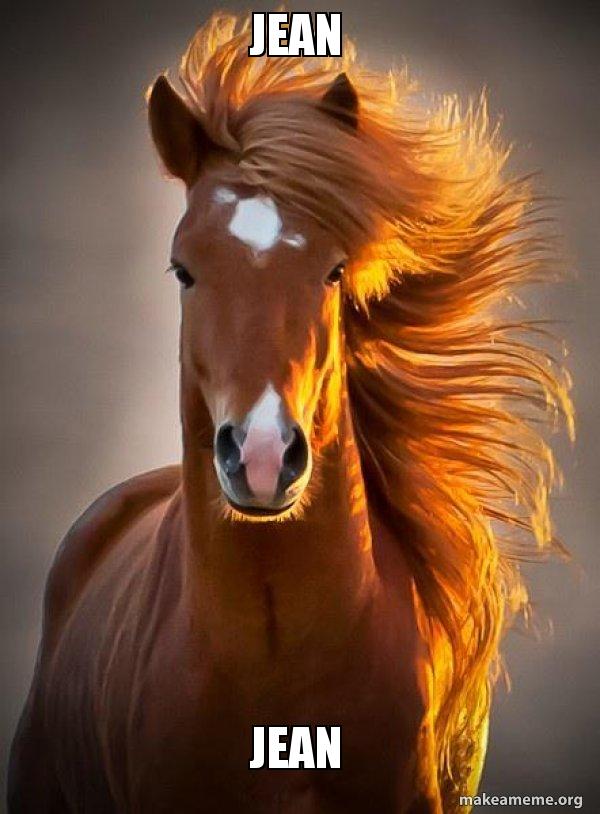 Jean Jean Ridiculously photogenic horse Make a Meme