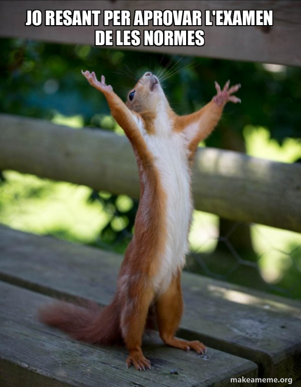 jo resant per aprovar l'examen de les normes - Happy Squirrel Meme ...