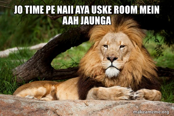 Contemplative Lion meme