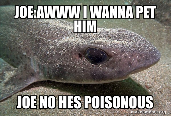 Dirty Joke Dogfish meme