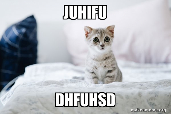 Cute Kitten meme