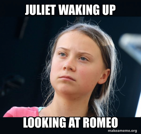 Greta Thunberg meme