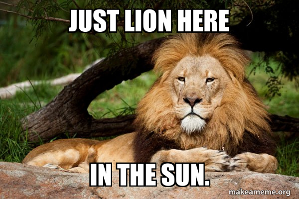 Contemplative Lion meme