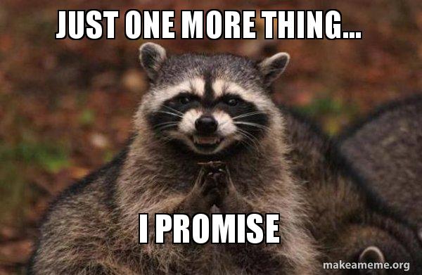 Evil Plotting Raccoon meme