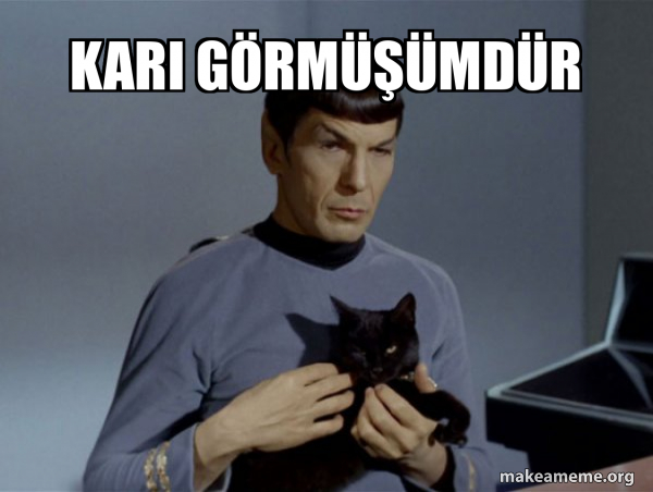 Spock and Cat Meme meme