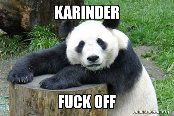 Confession Panda meme