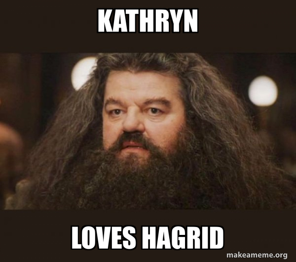 Hagrid - I should not have said that meme