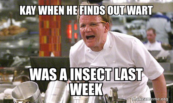 Gordon Ramsay Hell's Kitchen meme