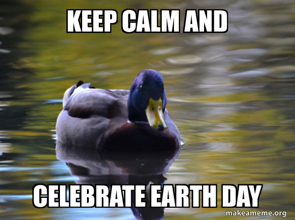 Zen Advice Mallard meme