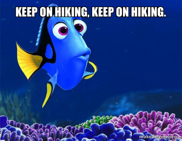 Dory from Nemo (5 second memory) meme