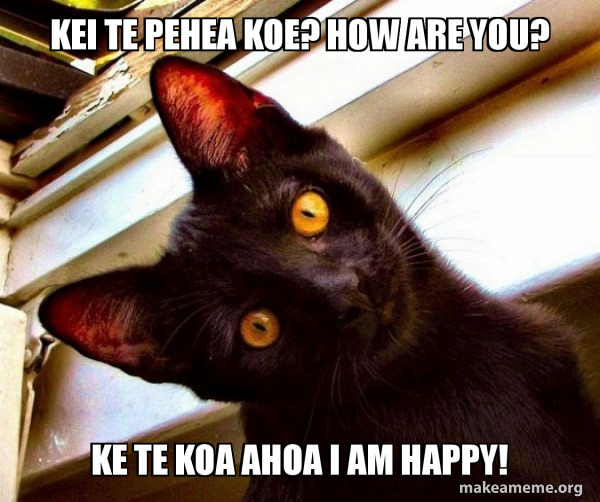 kei te pehea koe? how are you? ke te koa ahoa i am happy! Overly