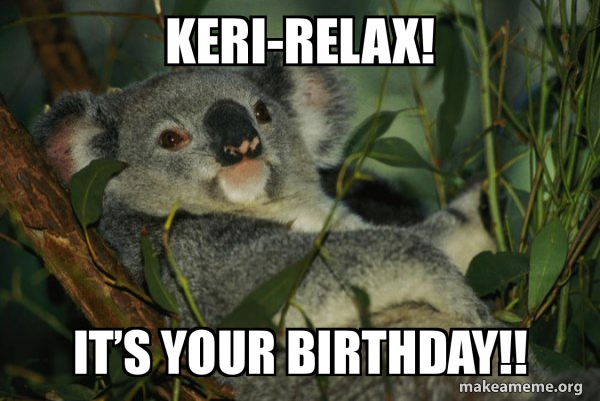 Laid Back Koala meme