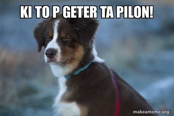 Unsure Dog meme