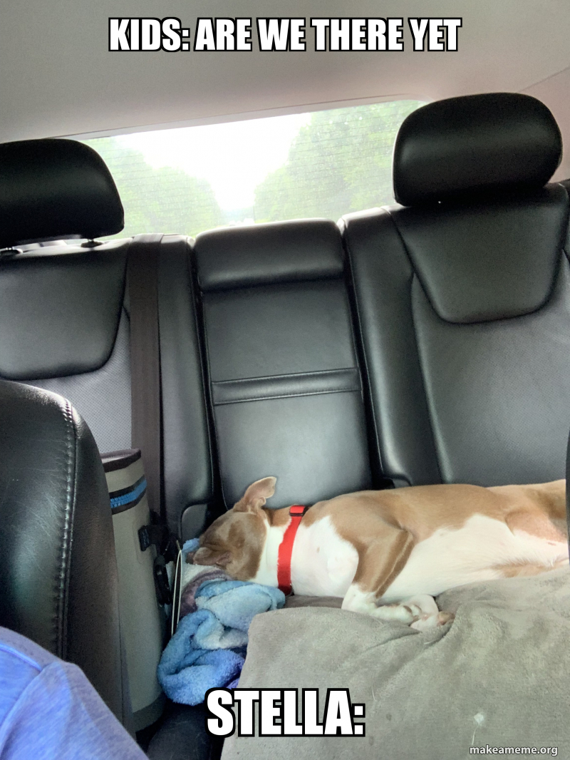 Kids Are We There Yet Stella Make A Meme