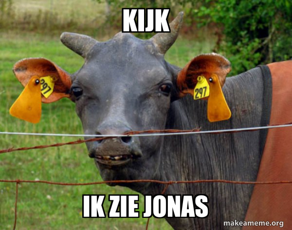 Hairless Cow meme