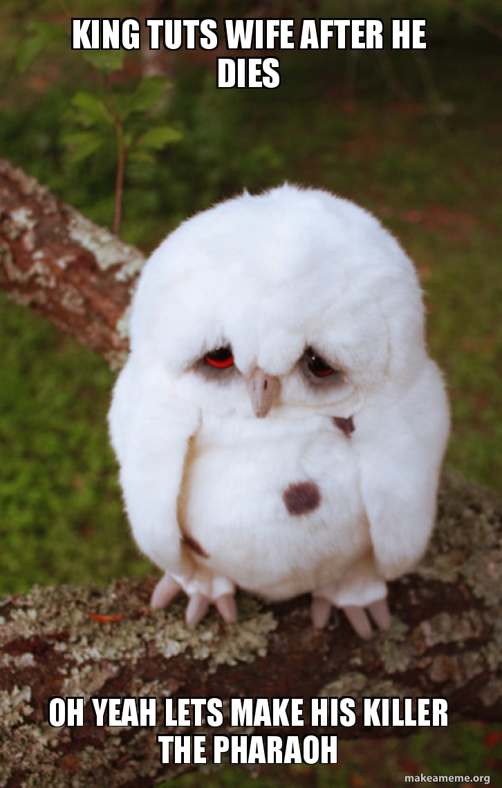 King Tuts Wife After He Dies Oh Yeah Lets Make His Killer The Pharaoh Sad Owl Make A Meme