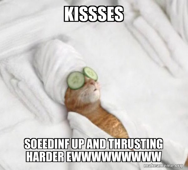 Pampered Cat Meme meme