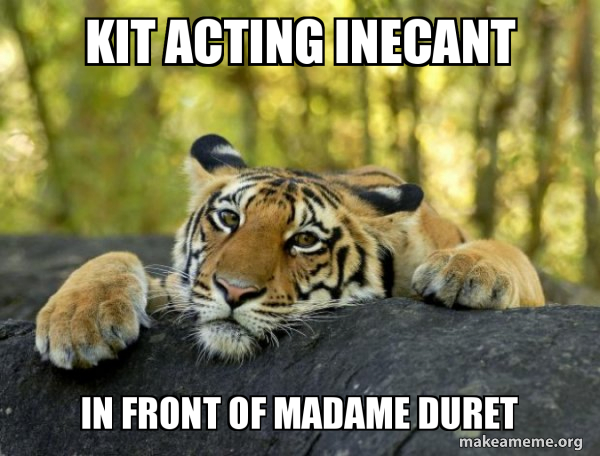 Confession Tiger meme