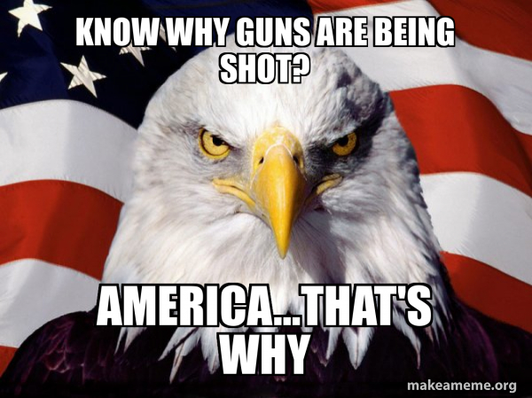 American Pride Eagle meme