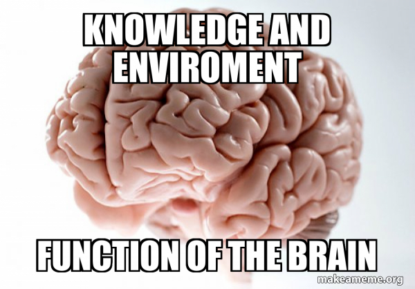 Scumbag Brain meme