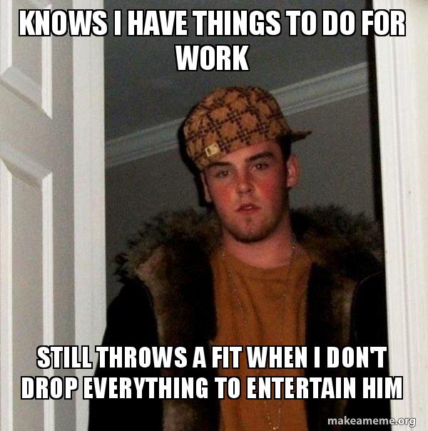 Knows I have things to do for work Still throws a fit when I don't drop
