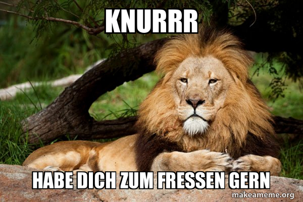 Eat Ich Habe Mich Zum Fressen Gern Knurrr Habe dich zum Fressen gern - Contemplative Lion Meme Generator