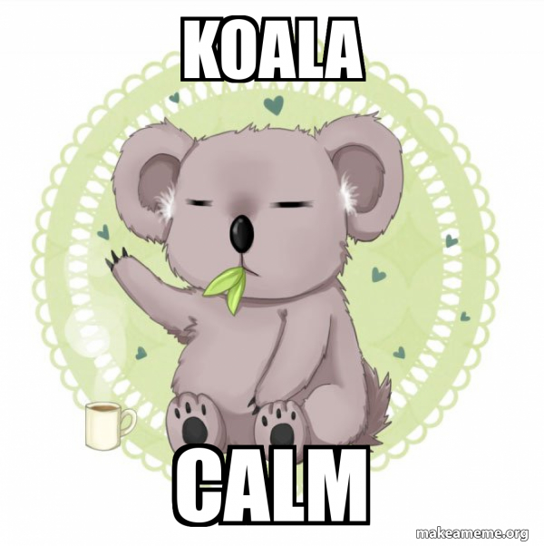 Aussie Koala doing the night shift meme