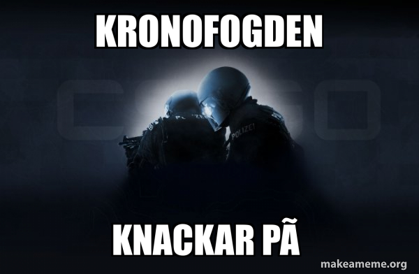 Counter-Strike (CSGO) meme