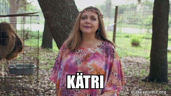 Carole Baskins (Carol ?) meme
