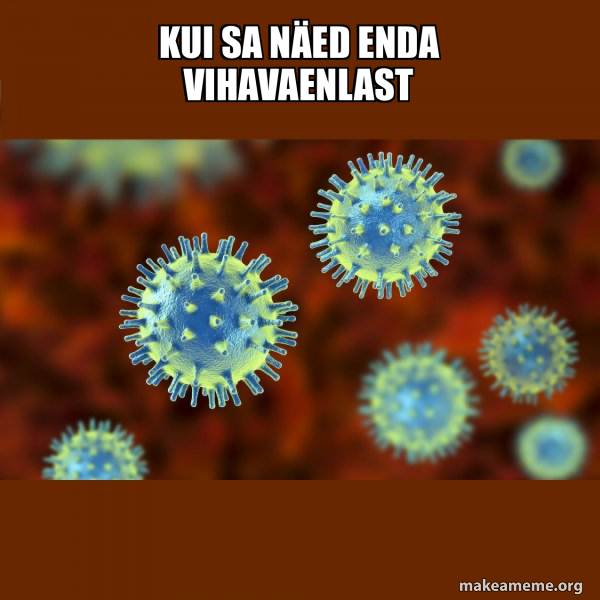 Coronavirus ( COVID-19 ) meme