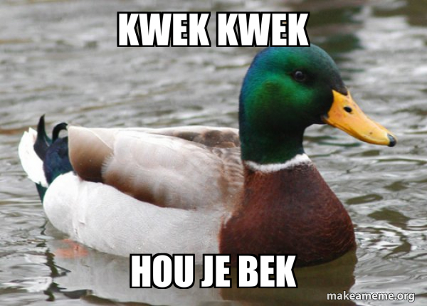 Actual Advice Mallard meme