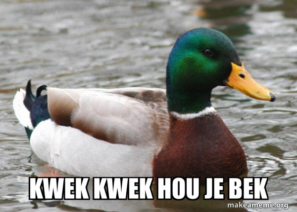 Actual Advice Mallard meme