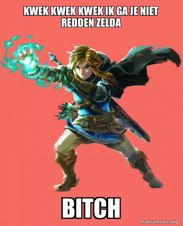 Link from Zelda meme