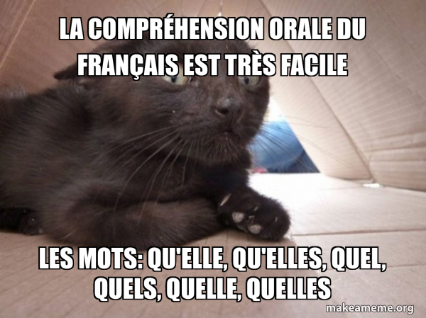 La compréhension orale du français est très facile Les mots: Qu'elle ...