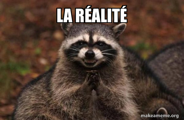 Relou Meme la réalité - Evil Plotting Raccoon Meme Generator