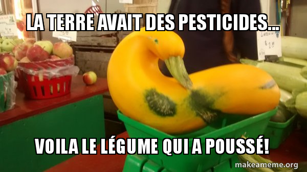 La terre avait des pesticides... Voila le lÃ©gume qui a poussÃ ...