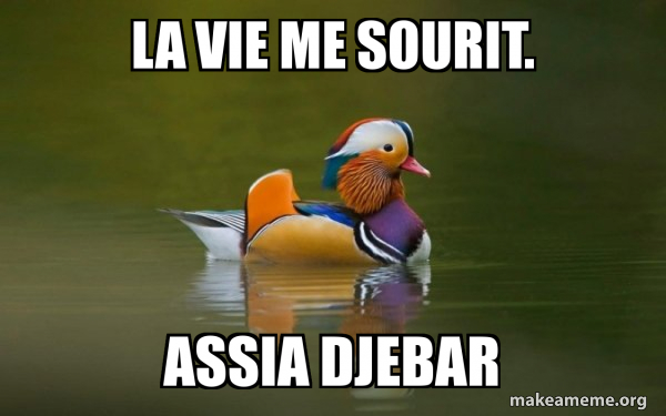 Fashionable Advice Mallard meme