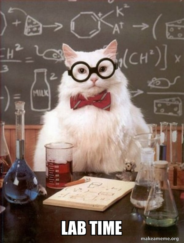 Lab Time - Chemistry Cat Meme Generator