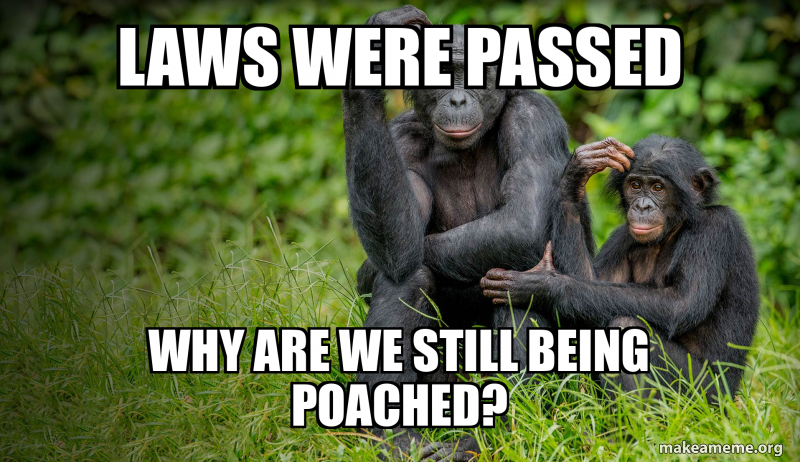 Laws Were Passed Why Are We Still Being Poached Make A Meme laws-were-passed-why-are-we-still-being-poached-make-a-meme