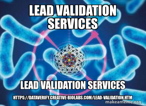 lead validation services lead validation services https://dataverify ...